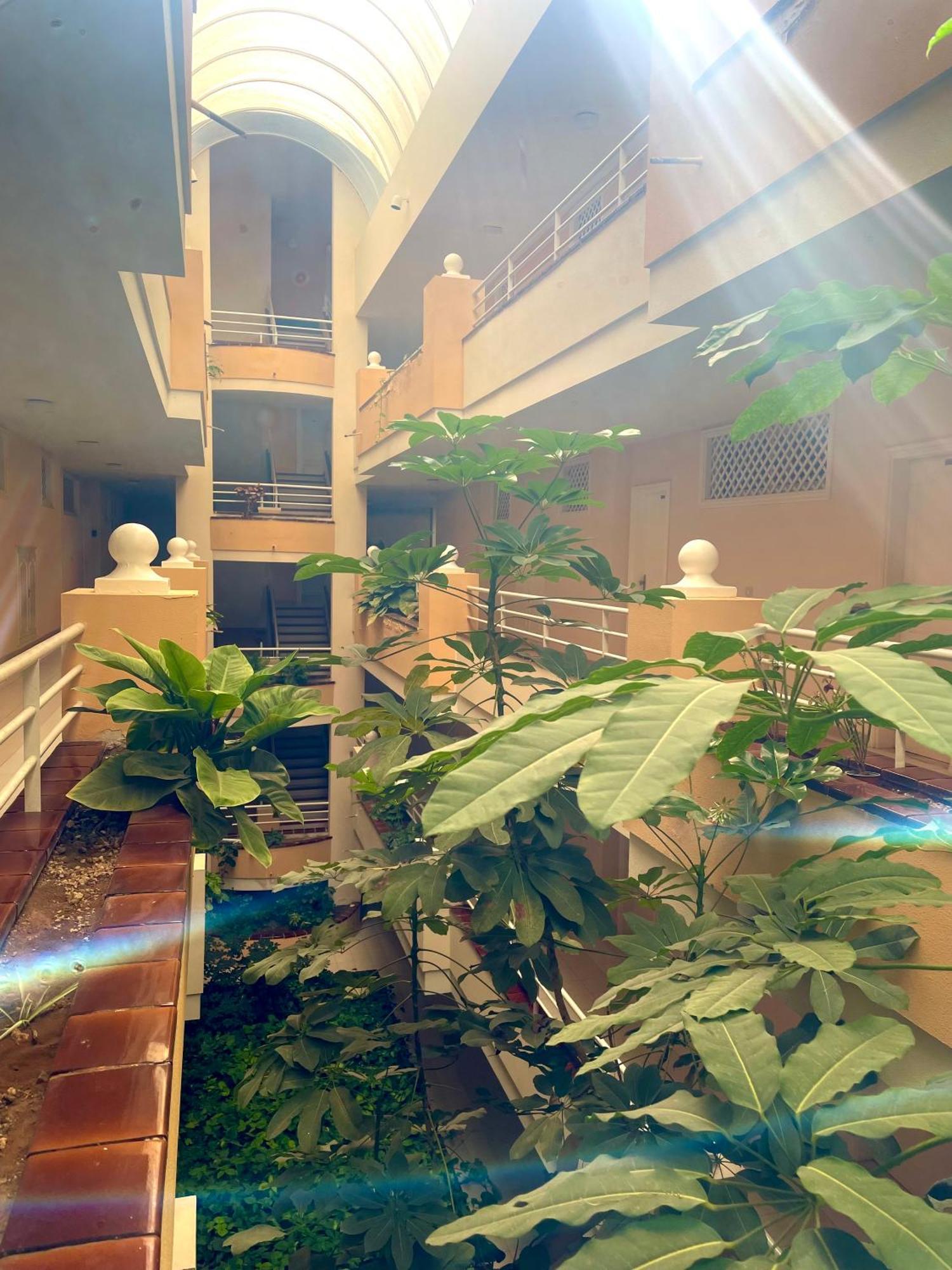 Casa Hugo - Ocean View, Quiet Pool, Fibre Net, Los Gigantes プエルト・デ・サンティアゴ エクステリア 写真